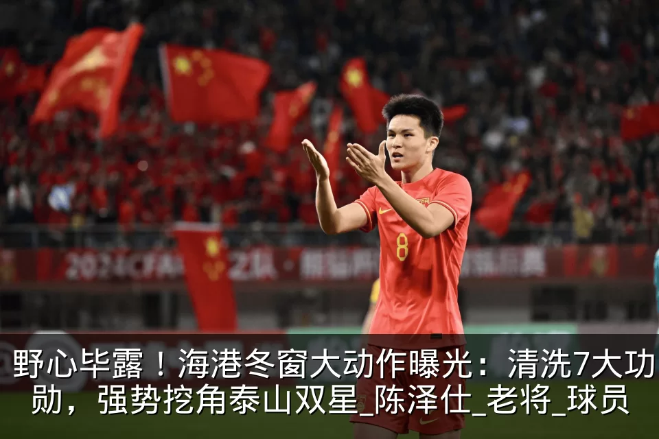 野心毕露！海港冬窗大动作曝光：清洗7大功勋，强势挖角泰山双星_陈泽仕_老将_球员